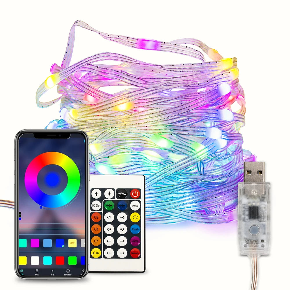 RGBIC LED fairy string lights full product set with USB connector, controller box, remote and smartphone app control